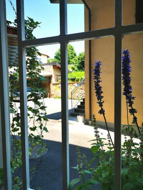 Il Cortile Apartment