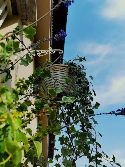 Il Cortile Apartment *