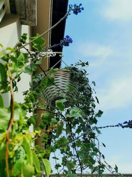 Apartment Il Cortile Clusane