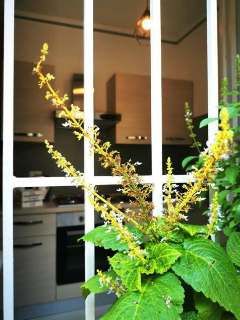 Apartment Il Cortile *